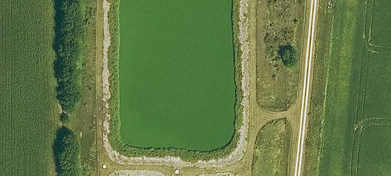 New Liberty, IA 52765