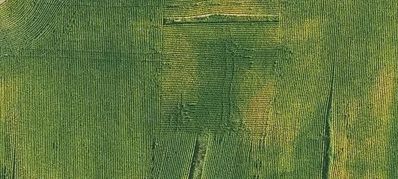 25528 Hwy 92