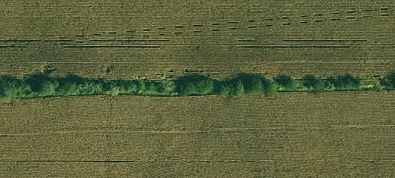 Stuart, IA 50250