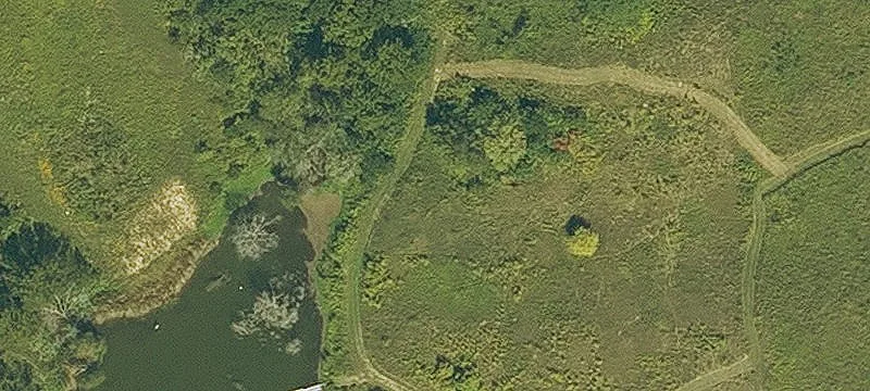 Girl Scout Rd