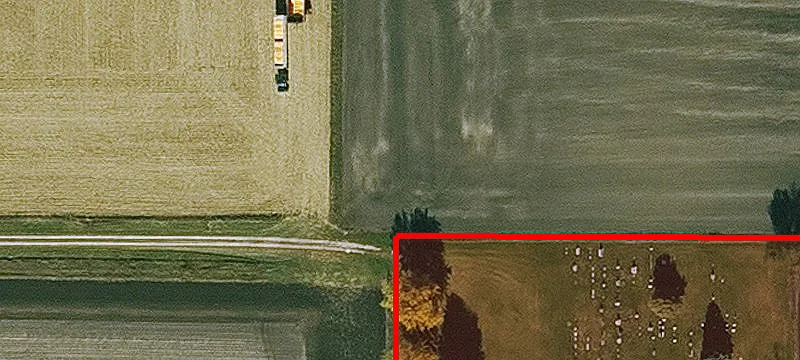 Thor, IA 50591