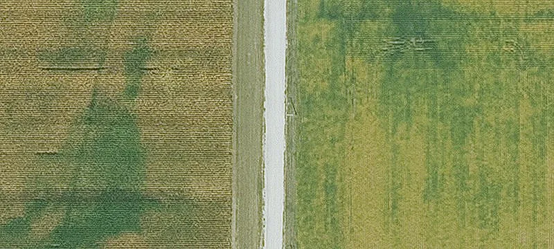 Traer, IA 50675