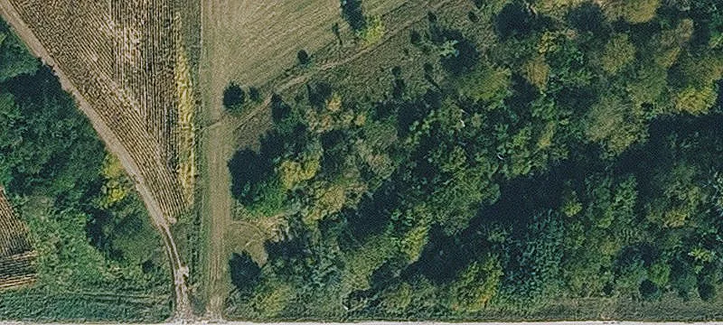 Essex, IA 51638