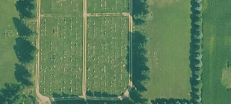 Graettinger, IA 51342