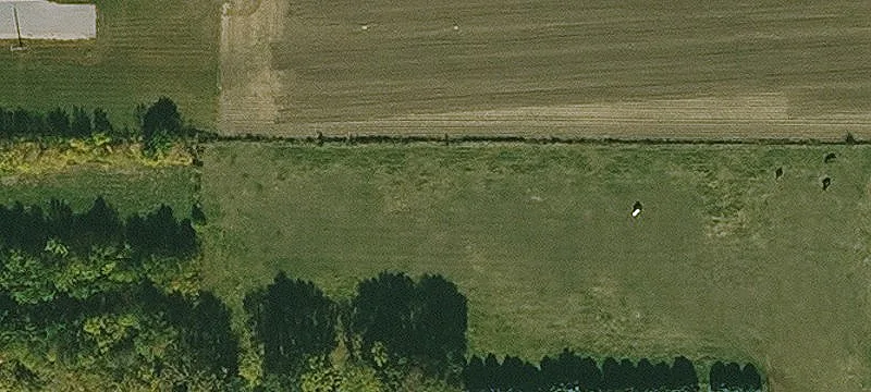1597 Hwy 218