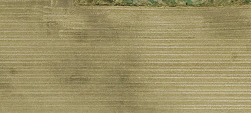 Auburn, IA 51433