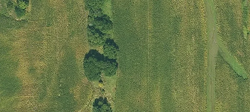 Winterset, IA 50273