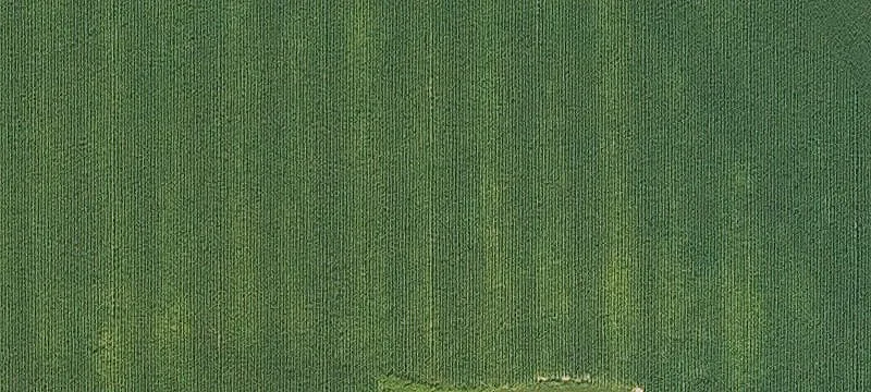 Miles, IA 52064