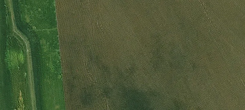 Maurice, IA 51036