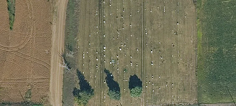 Imogene, IA 51645