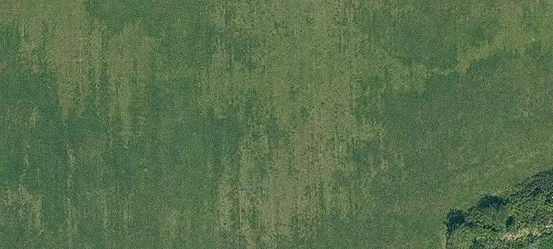 Bloomfield, IA 52537