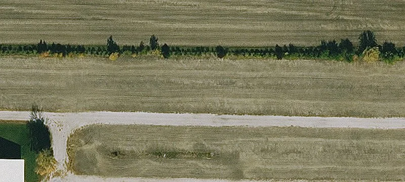 Renwick, IA 50577