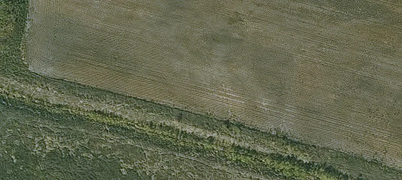 Alden, IA 50006