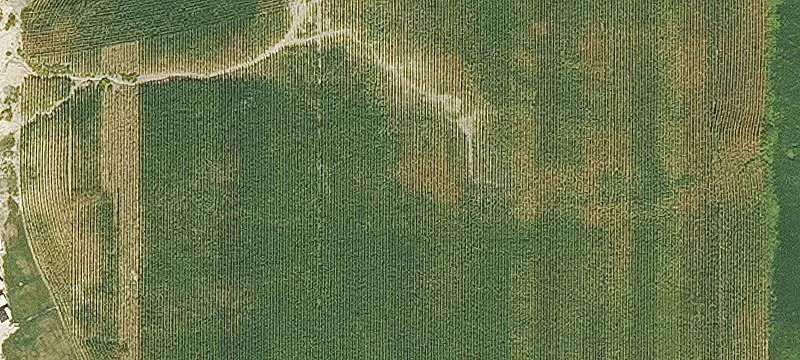 Winthrop, IA 50682