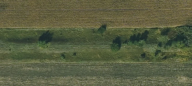 Rowan, IA 50470
