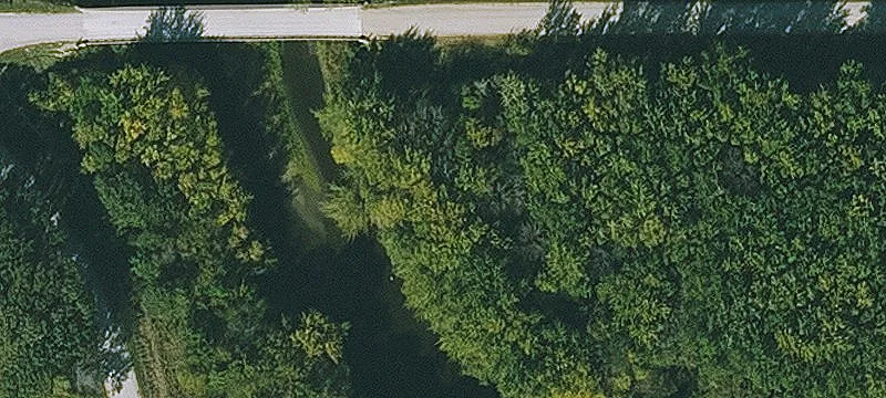 Dows, IA 50071