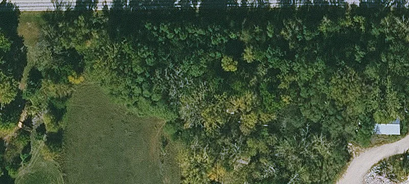 Iowa Falls, IA 50126