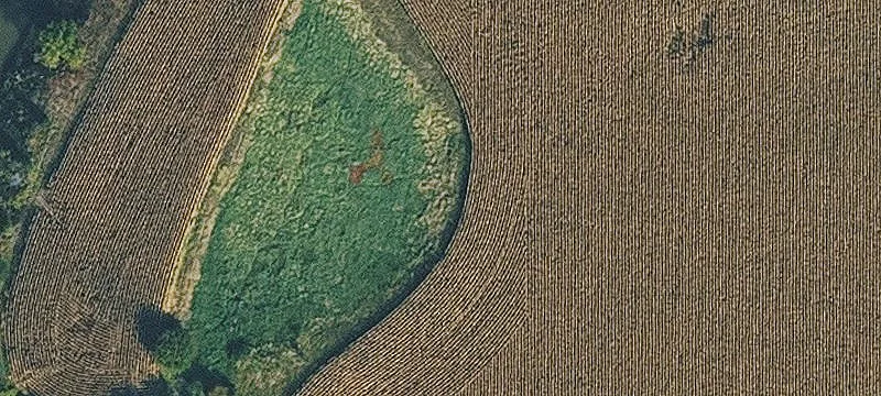 Essex, IA 51638