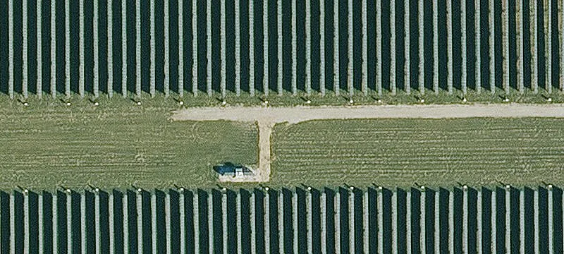Dexter, IA 50070