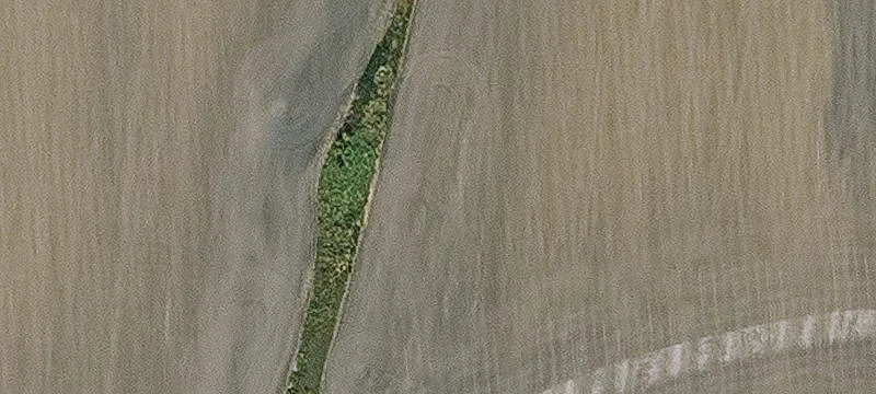 Early, IA 50535