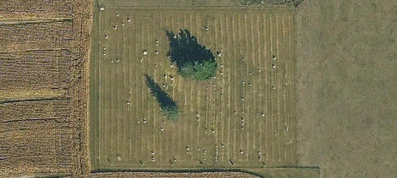 Essex, IA 51638