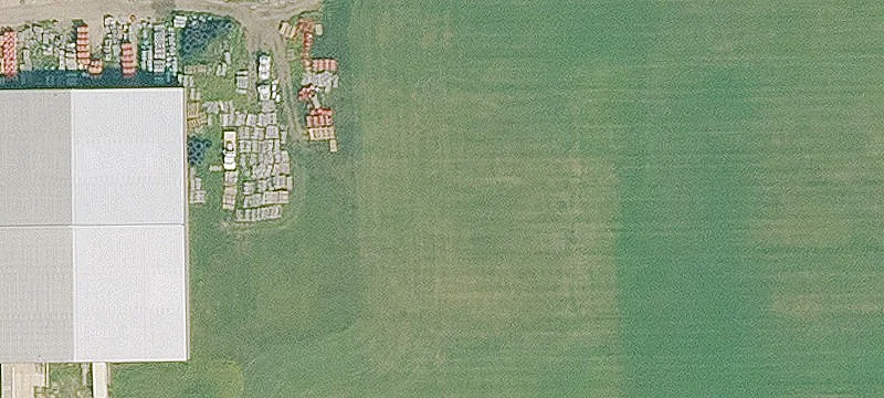 Estherville, IA 51334