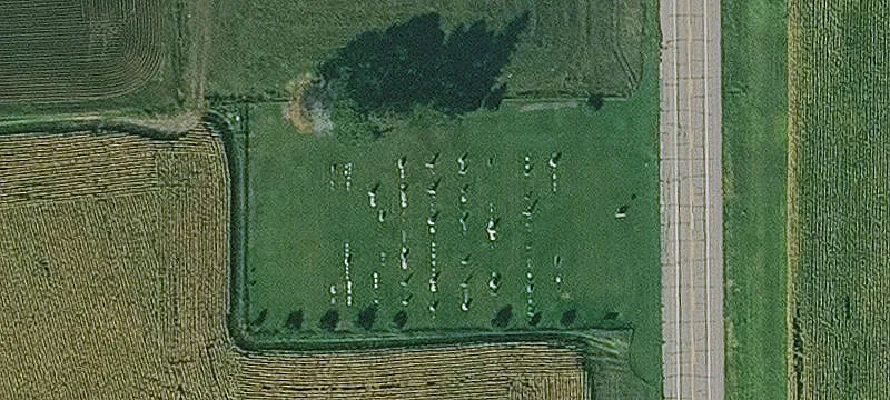 Maurice, IA 51036