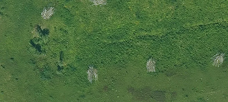 Barnes City, IA 50027