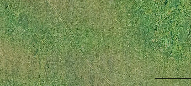 Belmond, IA 50421
