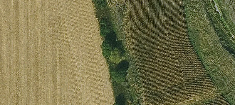Iowa Falls, IA 50126