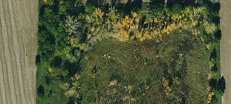 Sac City, IA 50583