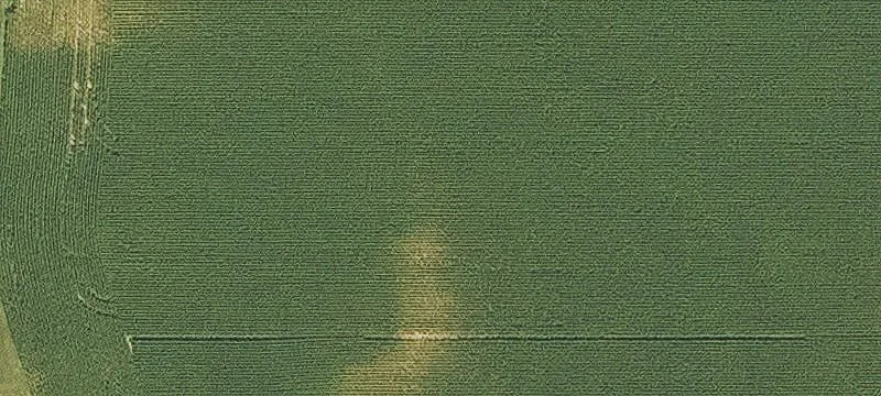 3901 Hwy 38