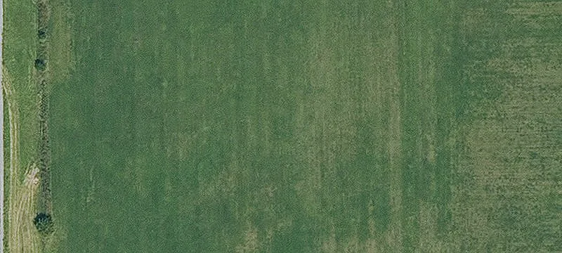 Bloomfield, IA 52537