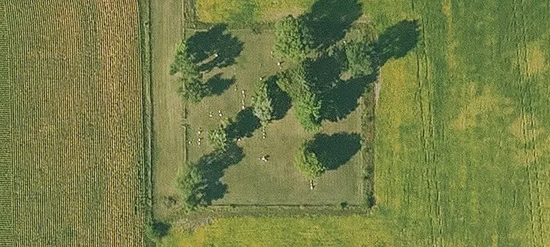 Coggon, IA 52218