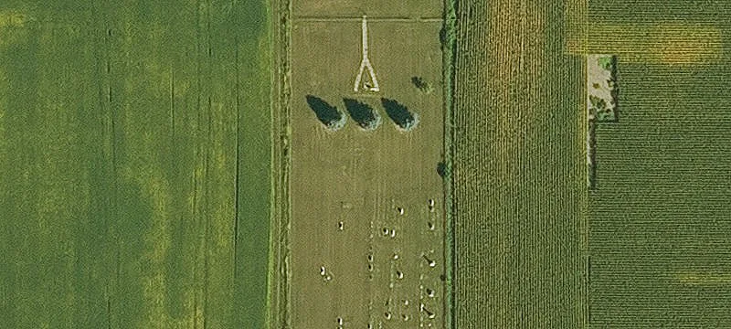 19485 County Rd G62