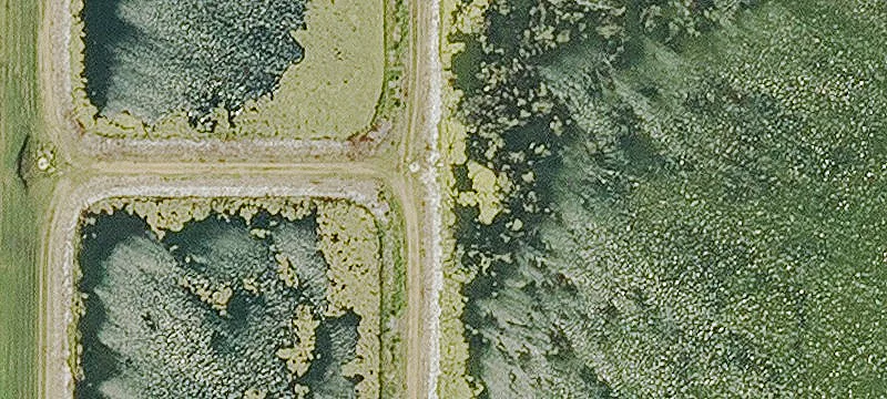 Ocheyedan, IA 51354
