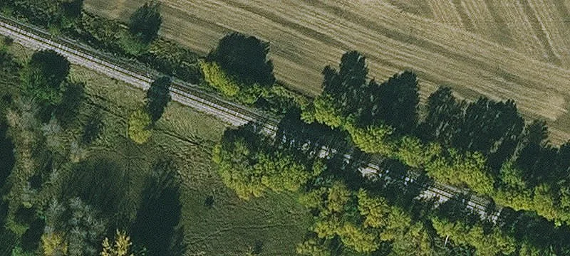 Dows, IA 50071
