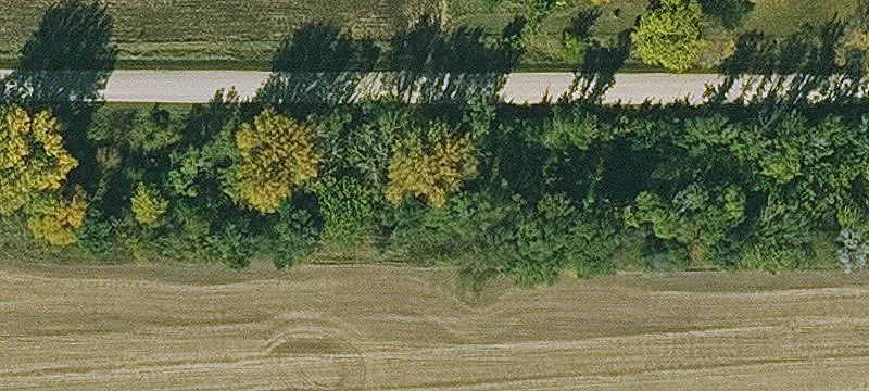 Rowan, IA 50470