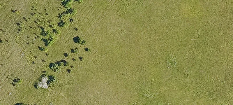 Ocheyedan, IA 51354