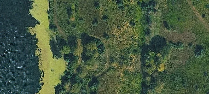 Essex, IA 51638