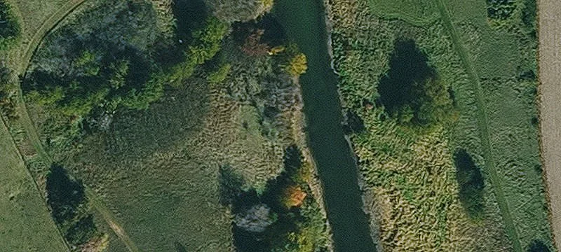 Battle Creek, IA 51006