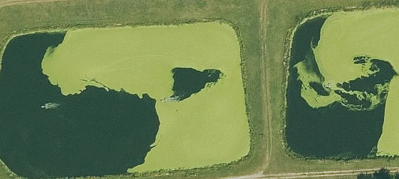 Truro, IA 50257