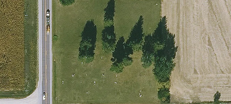 753 Hwy 65