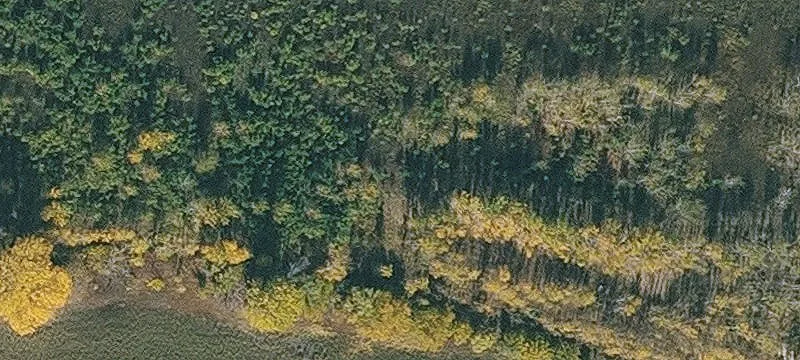Pacific Junction, IA 51561