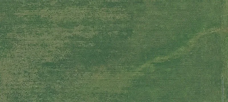 Bloomfield, IA 52537