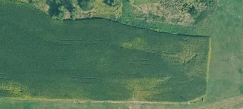 Newton, IA 50208
