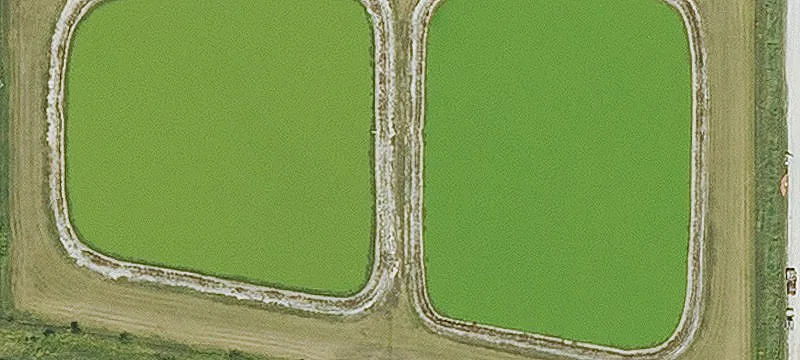 Rowley, IA 52329