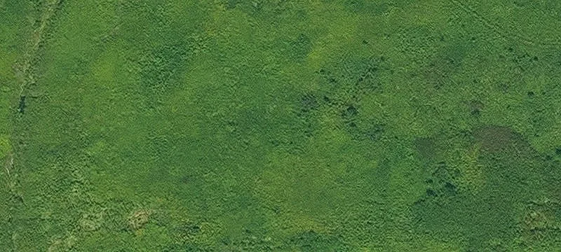Barnes City, IA 50027