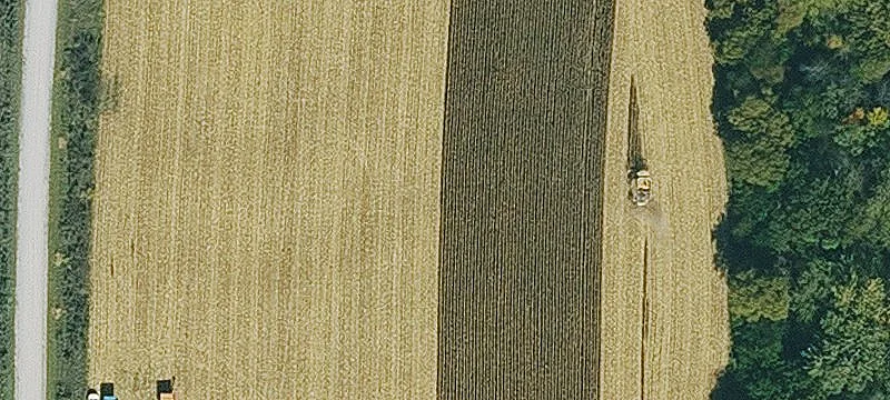 New Market, IA 51646