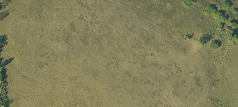 Jesup, IA 50648
